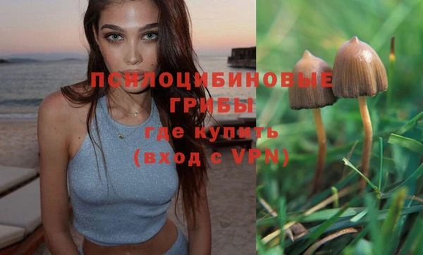 MESCALINE Михайлов